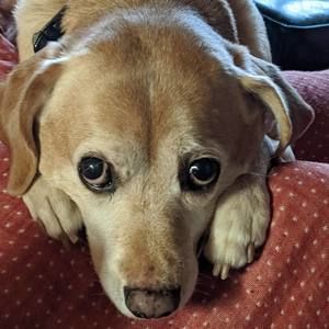 Meet your Posher, Ellen